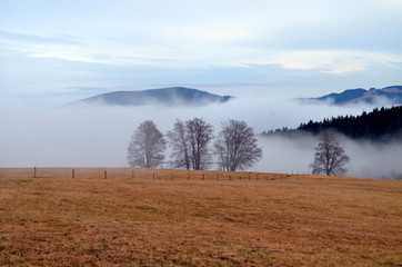 Fototapeta premium Schauinsland im Nebel