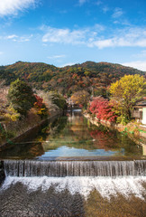 Fototapeta na wymiar iew point of the river and forest in autumn season at arashiyama,Kyoto,Japan