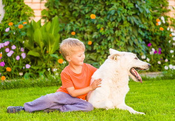 Young boy hugging White Swiss Shepherd dog together on green grass