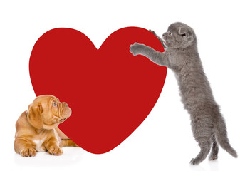playful kitten and puppy with big red heart. isolated on white 