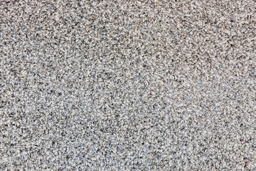 carpet of gray