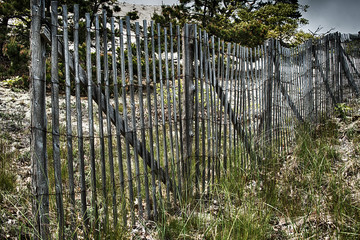 Fototapeta premium Cape Cod Fence