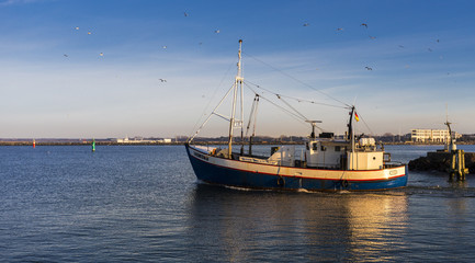 Fischkutter in Warnemünde