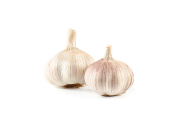 Head of garlic