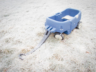 Blue wagon in Ice Covered Grass in Winter