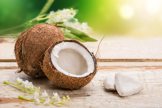 Coconut