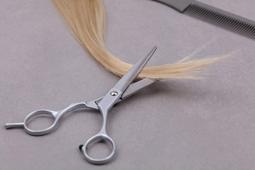 Stylish Professional Hair Cutting Scissors, comb and strand of blonde hair on grey background. Hairdresser salon concept, Haircut accessories.