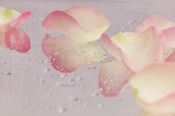 Obraz na płótnie Canvas Spa concept. Rose petals on reflective background with raindrops. Relaxation, body care treatment, wellness