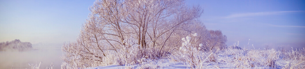 panoramic winter landscape with snow