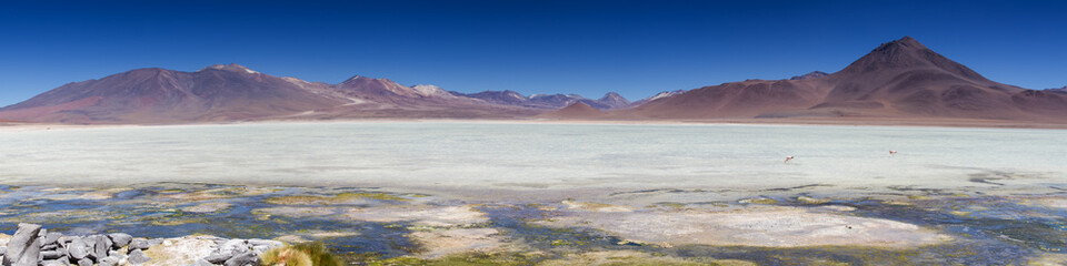 Panorama of Laguna Blanca