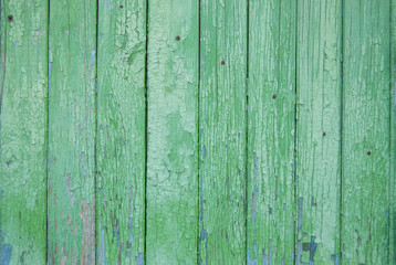 Fototapeta na wymiar green old wooden fence. wood palisade background. planks texture. greenery