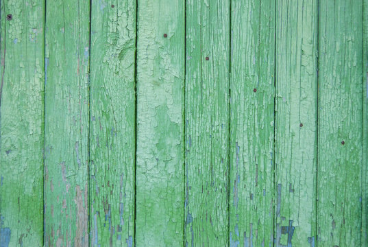 green old wooden fence. wood palisade background. planks texture. greenery