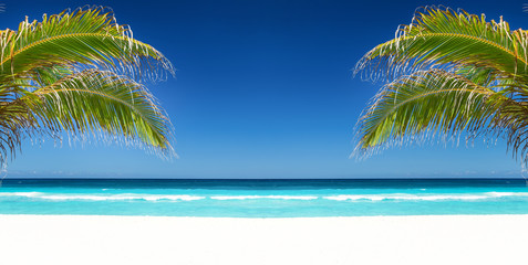 Tropical beach with coconut palm tree leafs, turquoise sea water