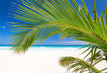 Perfect caribbean beach