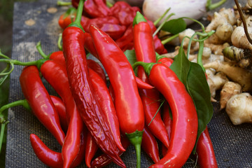 Chili's geerntet