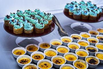 Blue Cupcake on the Plate