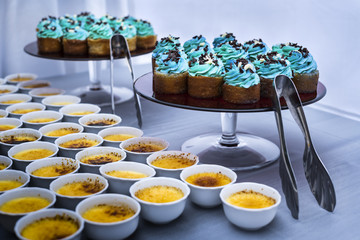 Blue Cupcake on the Plate