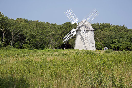 รูปภาพBrewster เลือกดูภาพถ่ายสต็อก เวกเตอร์ และวิดีโอ800 Adobe Stock