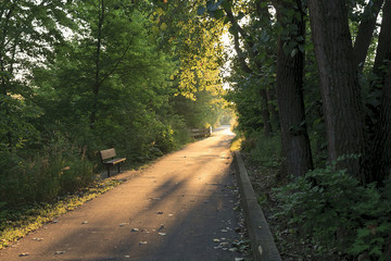 Fototapeta premium walk to the light