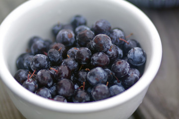 Beach Plums
