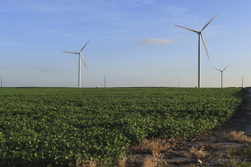 farming soybeans and electricity