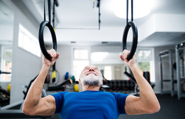 Fototapeta na wymiar Senior man in gym working out on gymnastic rings