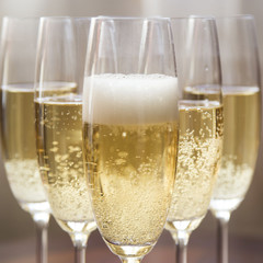 drinking champagne in the company before the holidays at home