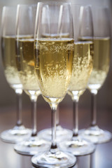 drinking champagne in the company before the holidays at home