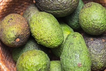 Avocado background. Fresh green avocado on a market stail.
