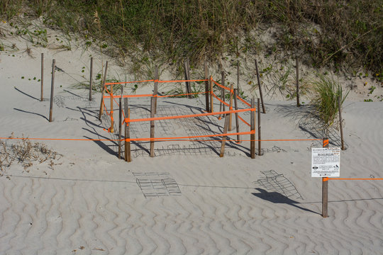 Sea Turtle Conservation Site.  Animal Protection.  Beach. 