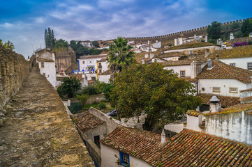 Fototapeta na wymiar A view of roof of Obidos town, Portugal.