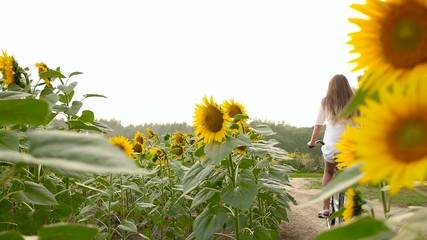 Longhair lady rides a bike at sunflower field - Powered by Adobe