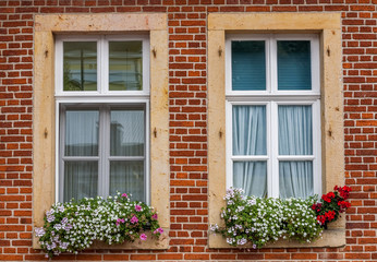Fototapeta na wymiar Window and flower 