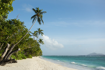 Silhouette Island, Seychelles, Remote beach with Palmes