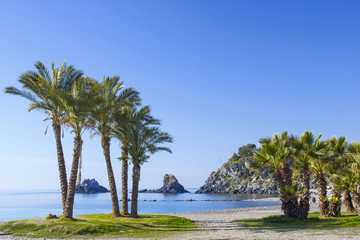 Fototapeta na wymiar Palm trees on a beach in Almunecar, Andalusia region, Costa del