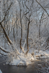 Река Пехорка с инеем на деревьях © spanikratov
