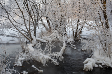 Река Пехорка с инеем на деревьях © spanikratov