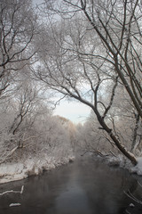 Река Пехорка с инеем на деревьях © spanikratov