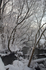 Река Пехорка с инеем на деревьях © spanikratov