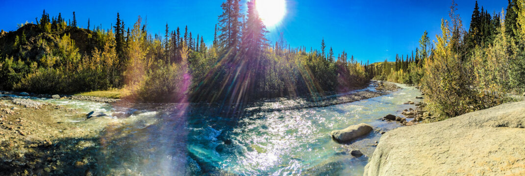 Denali, Alaska, USA:  Sept. 3, 2016:  Panorama of Riley Creek in the sunshine.