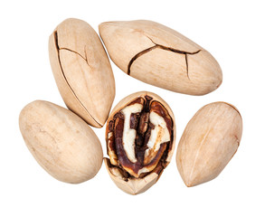 top view of few pecans in shell isolated on white