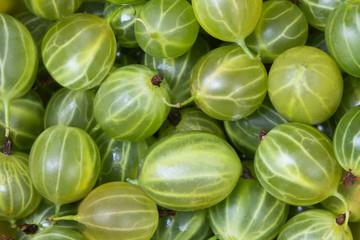 fresh fruit gooseberries