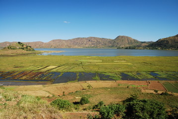 Fototapeta na wymiar Cultures près du Lac Itasy, Ampefy, Madagascar