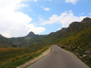 cloudy sky over mountain Durmitor and wild flowers
