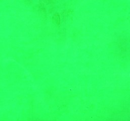 Light green paper background
