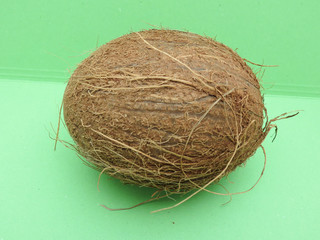 Coconut fruit over light green background