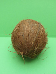 Coconut fruit over light green background