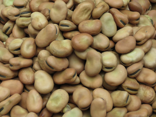 Broad bean background