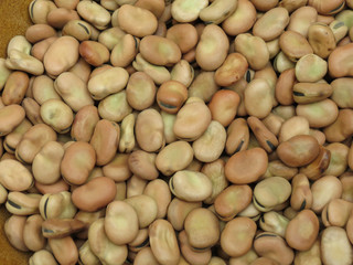 Broad bean background