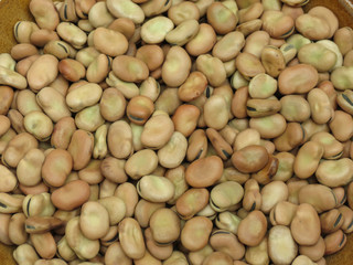 Broad bean background